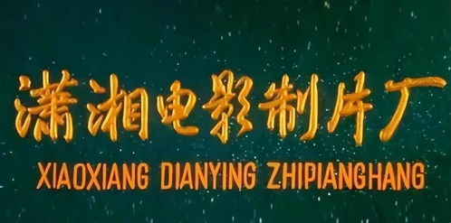 瀟灑名導(dǎo) 張黎,人如其名,五段婚姻都失敗,前任個(gè)個(gè)大明星